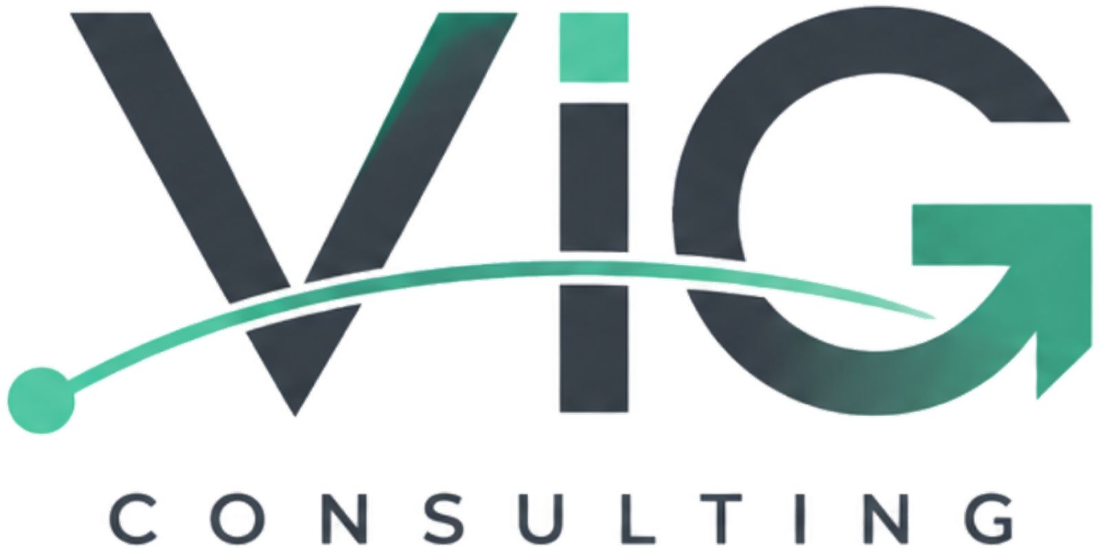 VIG Consulting